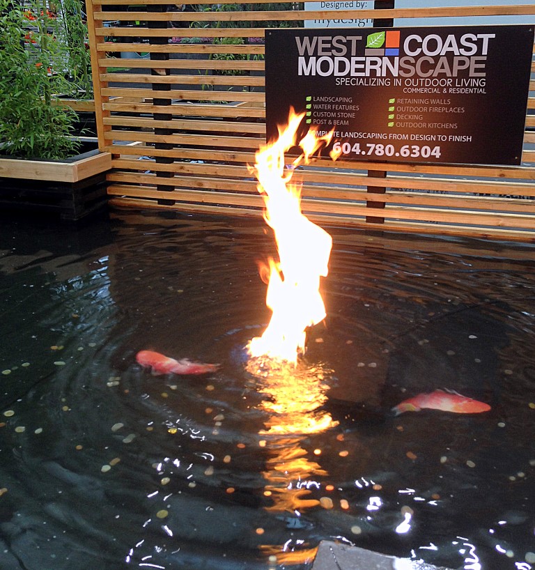 gas fire in outdoor water feature