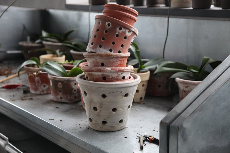 Guy Ben Wolff Clay Orchid Pots