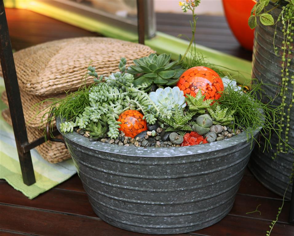 Metal Succulent Container Garden