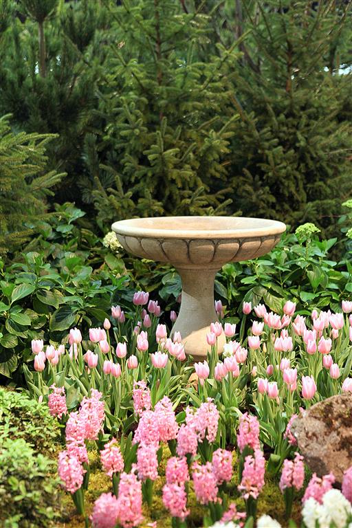 Spring Tulips at the Northwest Flower and Garden Show 2013