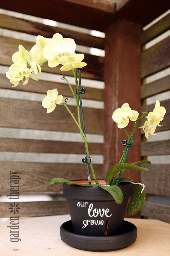 chalkboard orchid pot