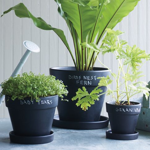 West Elm Chalkboard Pots