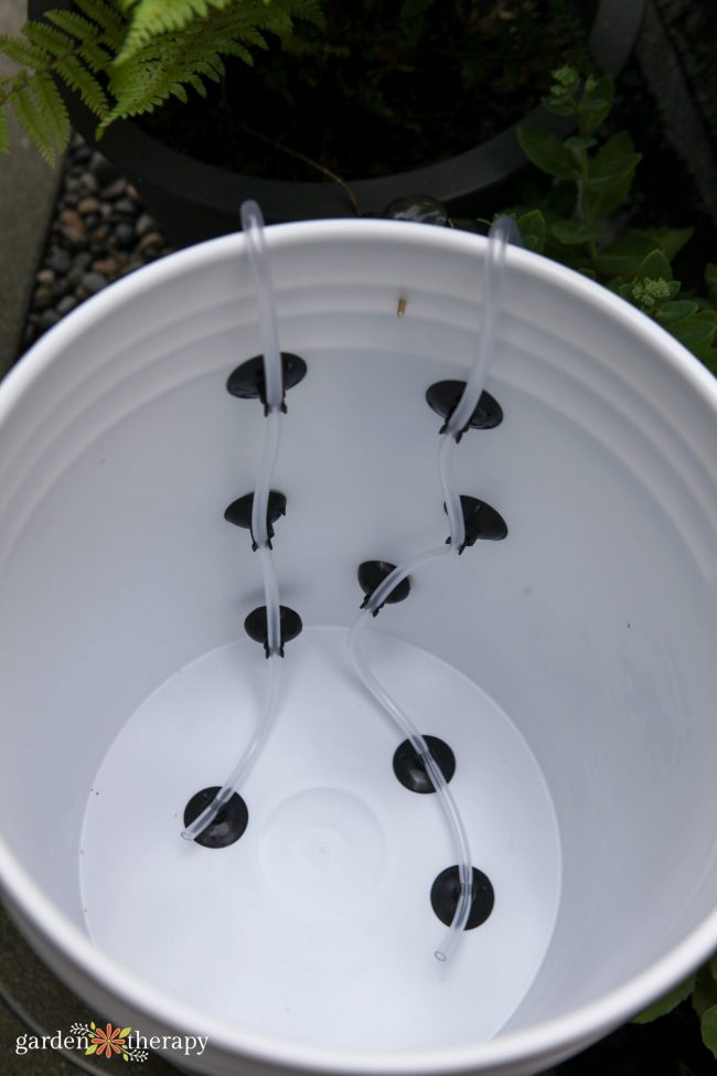 Grand seau blanc avec un tube transparent fixé à l'intérieur à l'aide de ventouses en préparation pour le thé de compost.