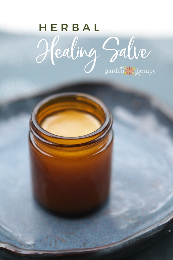 Herbal Healing Salve in a jar on a blue plate