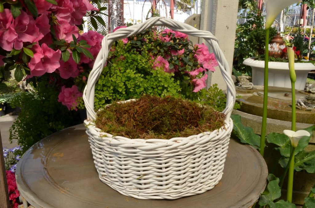 Line Easter Basket with Moss