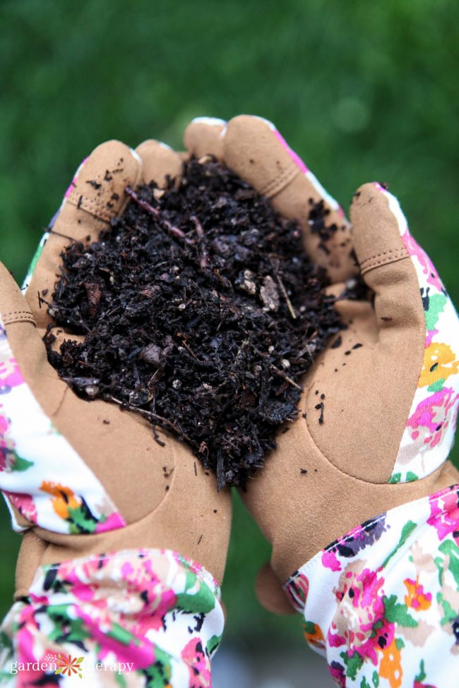 Woman with floral gloves holding soil mingled with compost tea in her hands