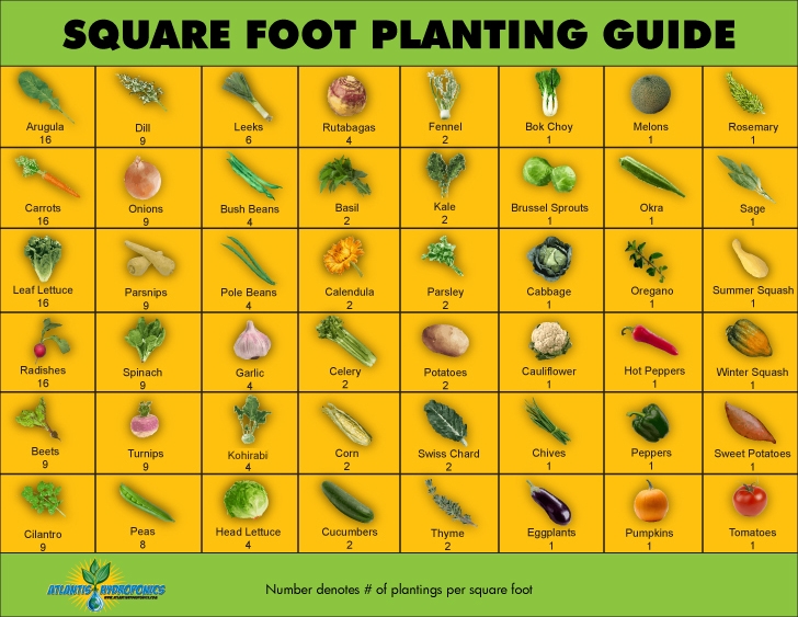 Printable Square Foot Gardening Spacing Chart