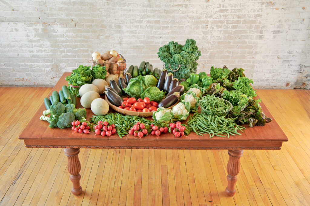 Square foot gardening harvest