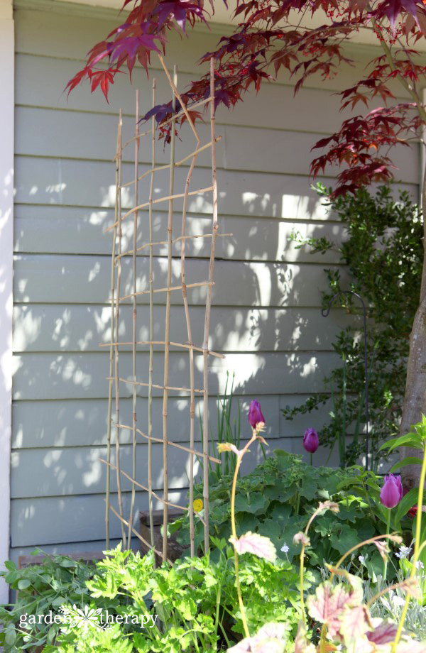 homemade garden trellis in a garden