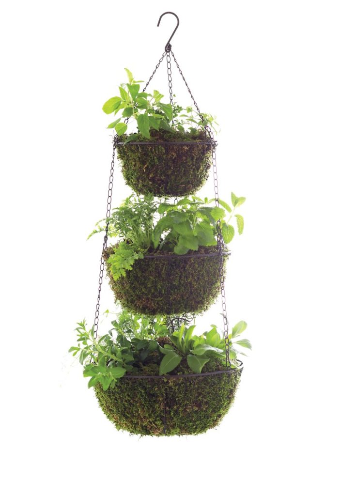 Three Tier Hanging Herb Planter