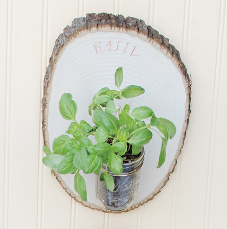 Woodland Herb Garden DIY Project from Mason Jar Crafts Basil