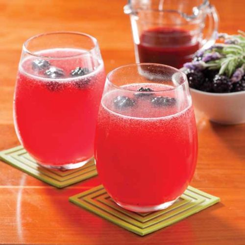 BlackberryLavender Soda Garden Therapy