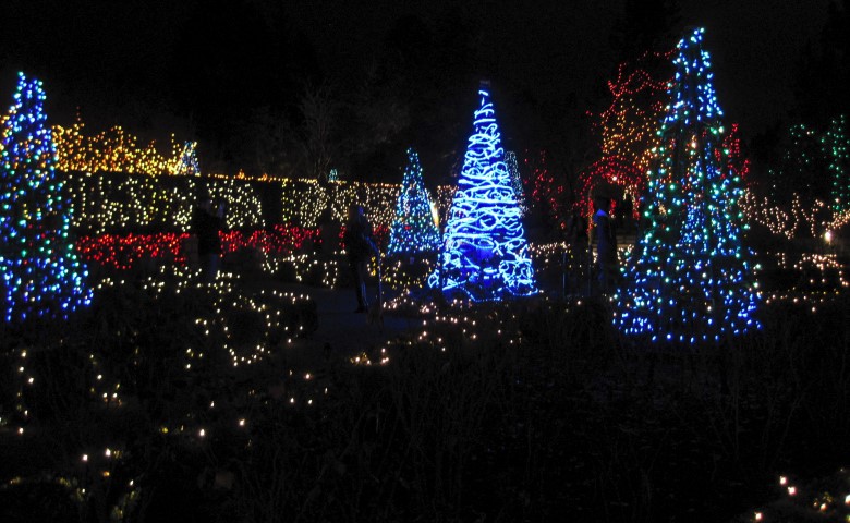 Blue Lighted Christmas Trees