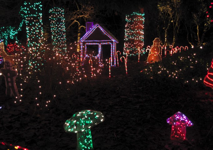 Holiday Lights to Dress Up the Winter Garden - Garden Therapy