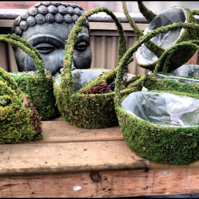 Moss Baskets