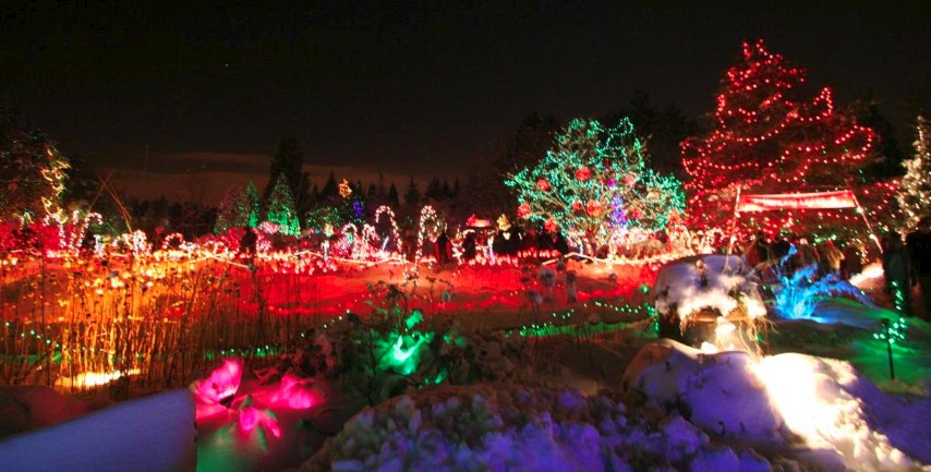 Traditional Red and Green Holiday Lights