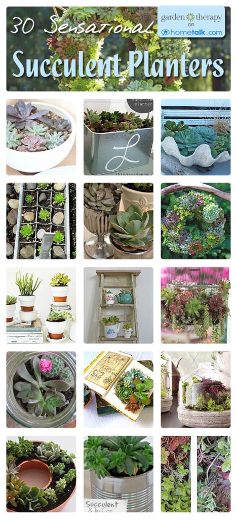 30 Sensational Succulent Planters