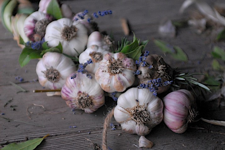 Decorative Garlic Braids with herbs for decoration