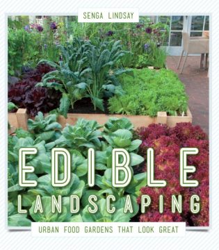 Grow up! Build an Edible Rooftop Garden - Garden Therapy