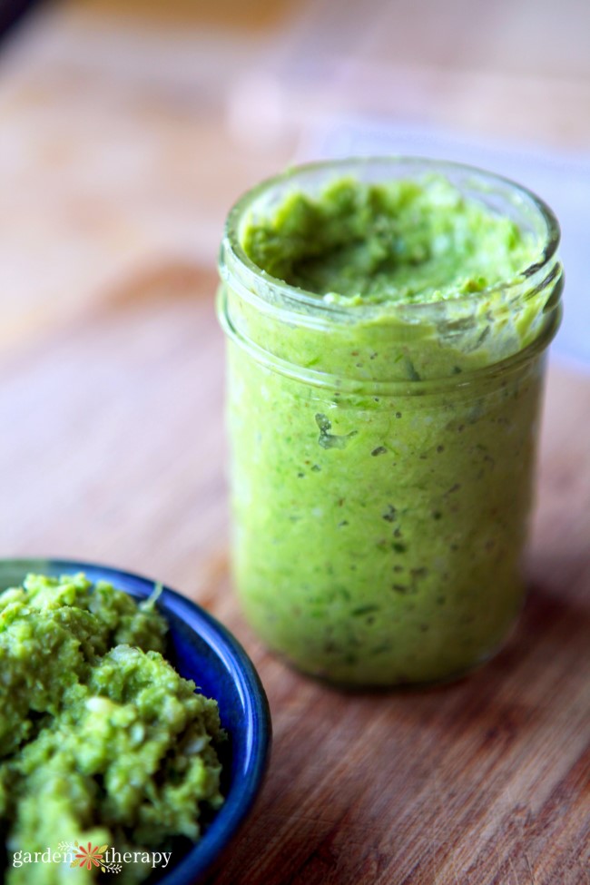 Garlic Scape Pesto in Jar