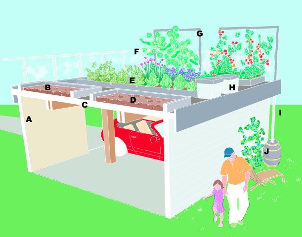 Grow up! Build an Edible Rooftop Garden - Garden Therapy