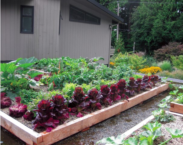 How to Build a Vegetable Garden on a Green Roof