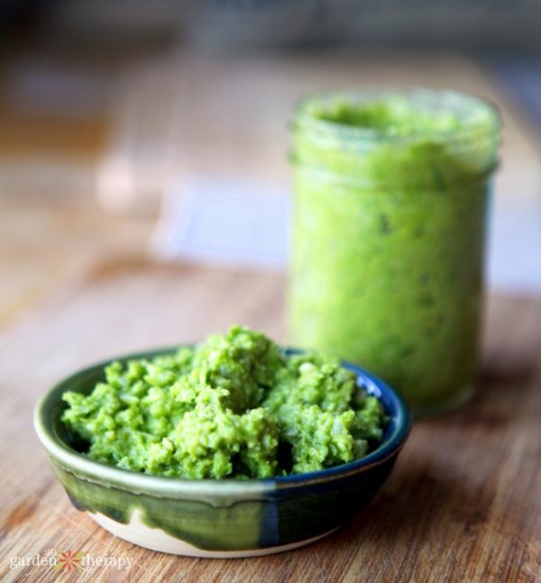 Garlic Scape Pesto Recipe Grow it! Eat it! Garden Therapy