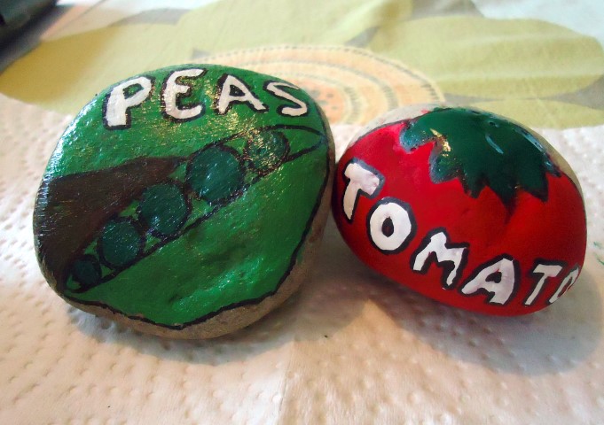 Painted Stone Vegetable Markers Step (6)