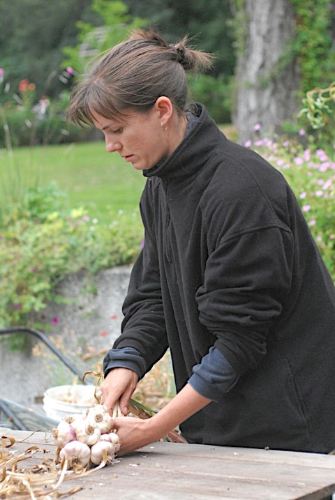 Step By Step Garlic Braiding