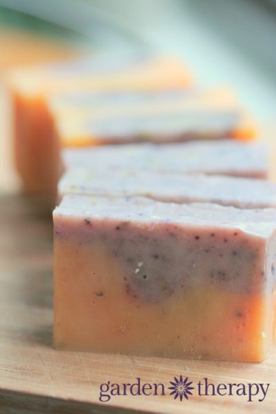 Pink Grapefruit Soap Recipe