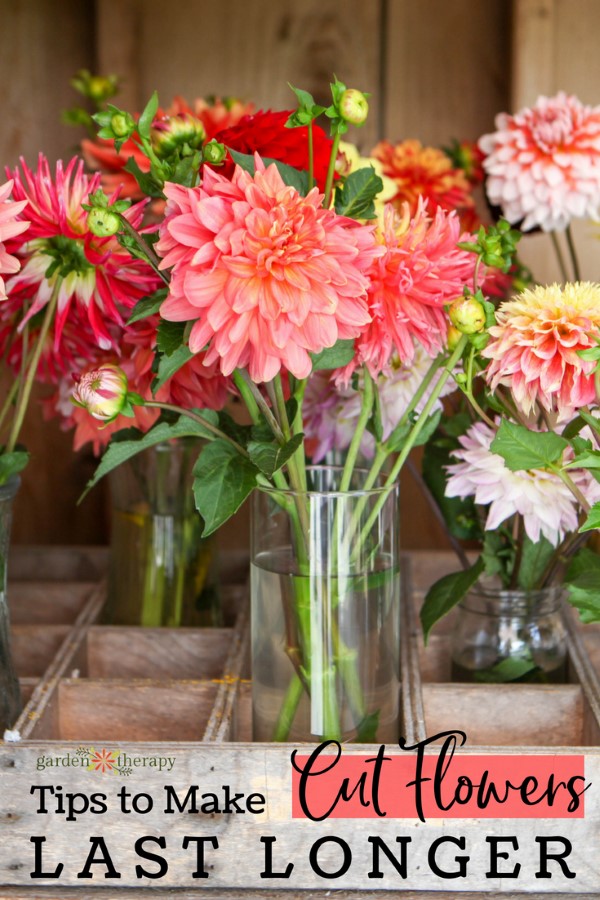 vase with fresh flowers