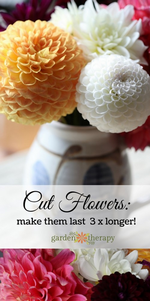 How To Make Cut Flowers Stay Fresh Longer 14 Easy Ways to Keep Cut