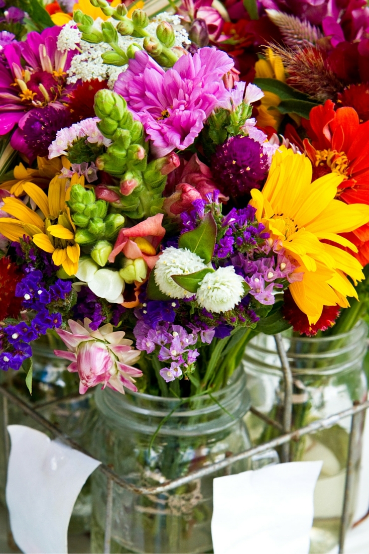 Bouquet Gardens: The Best Cutting Flowers + Growing ...