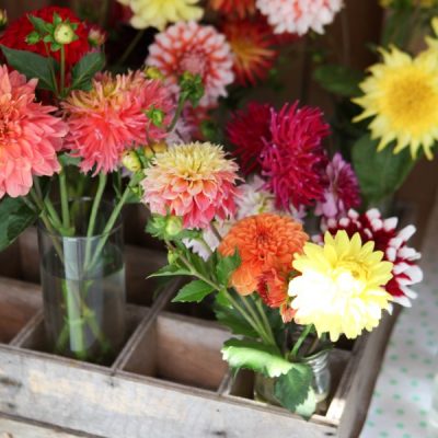fresh cut floral arrangements