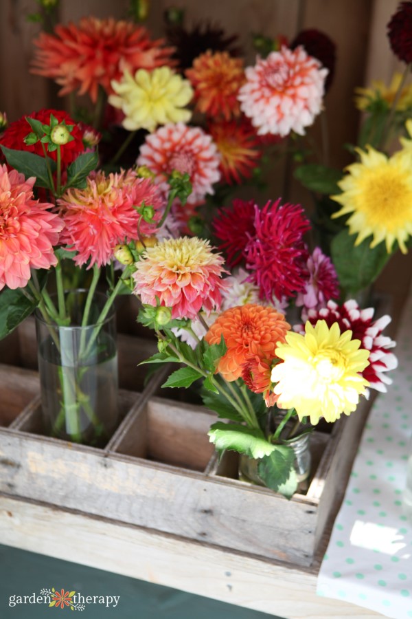 fresh cut floral arrangements