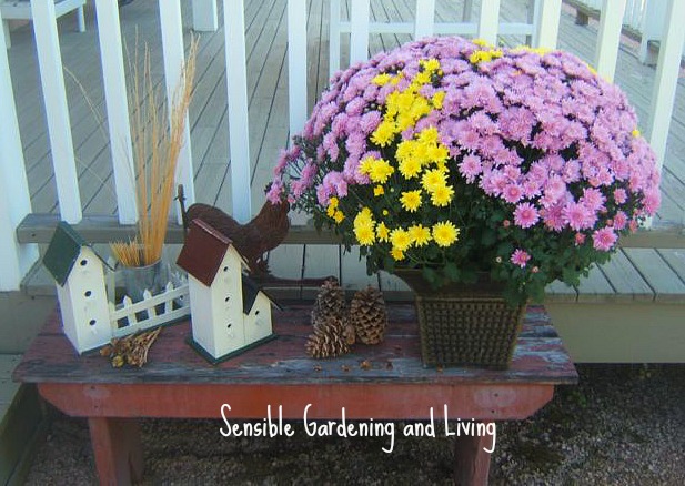 20 Fabulous Fall Decor Projects from the Garden - Garden Therapy