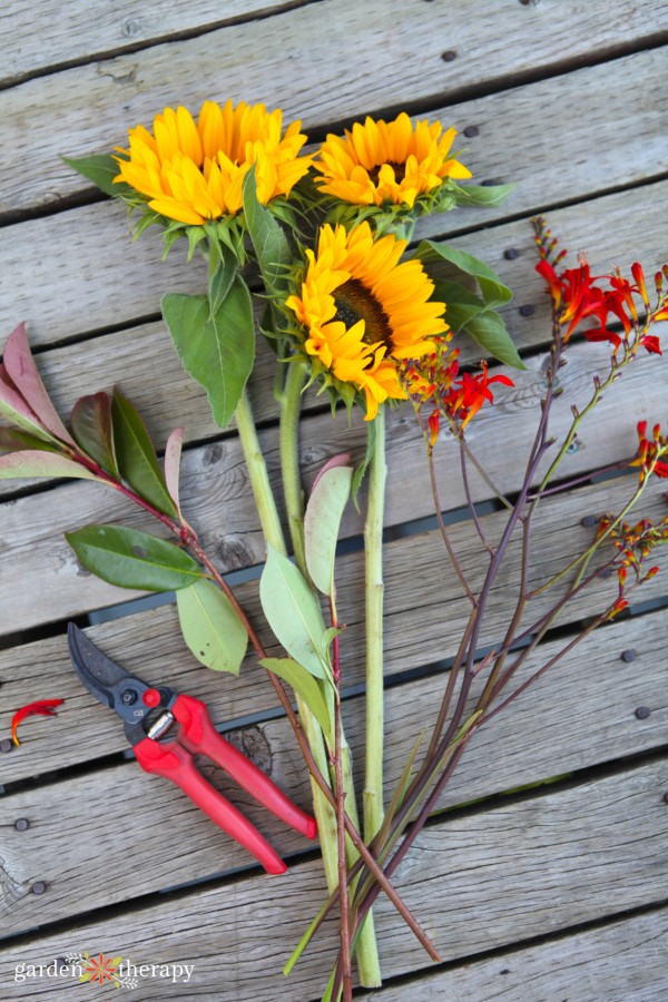 flowers with bottom leaves removed