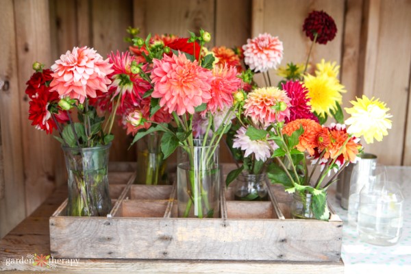 How to make the most of your cut-flower bounty!