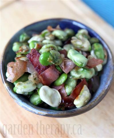 Broad Beans and Pancetta Recipe via gardentherapy.ca