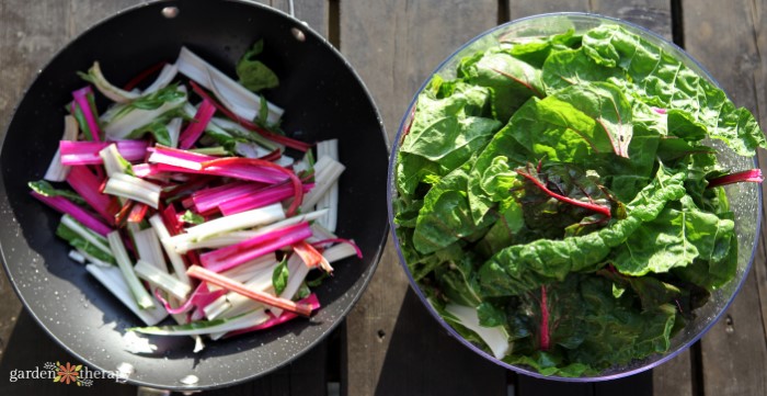 Preparing Swiss Chard