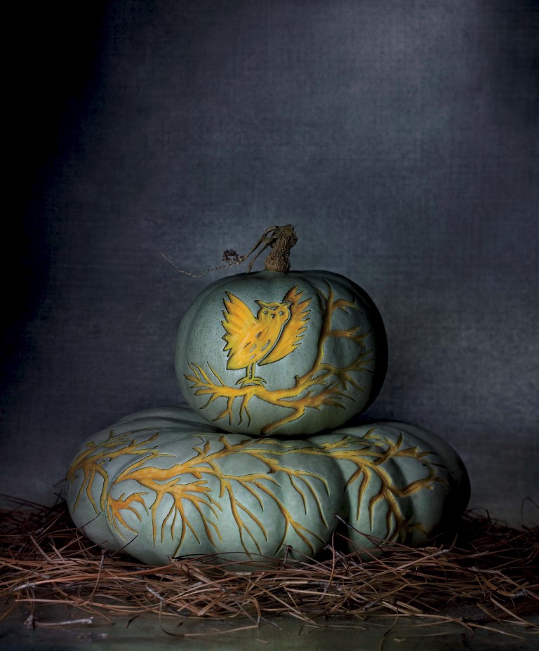 blue pumpkin with owl design