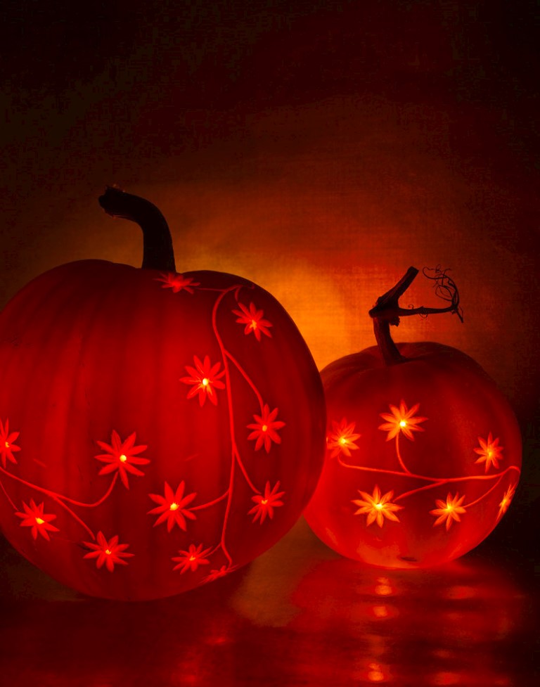 etched pumpkin carving design - double daisy