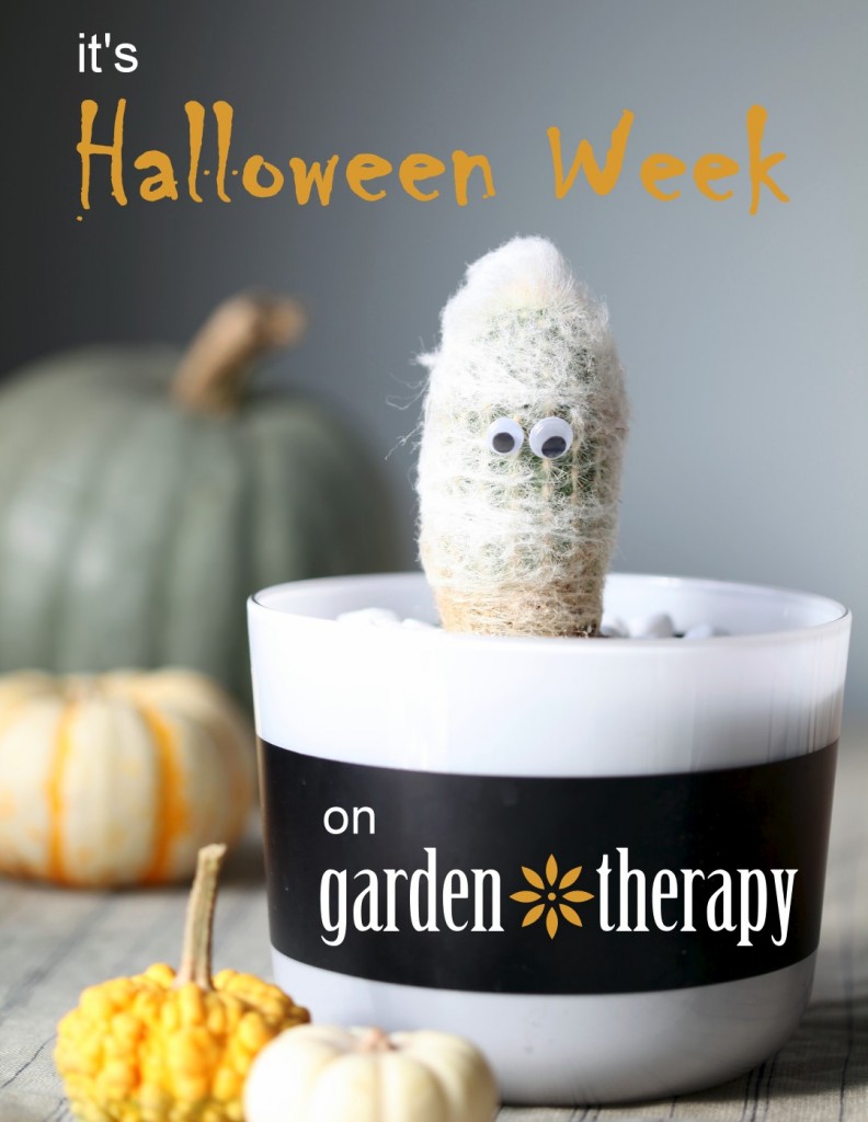 halloween week on garden therapy