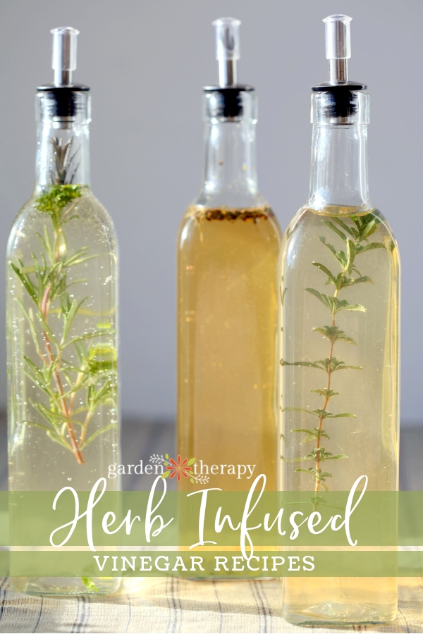 Herb Infused Vinegars
