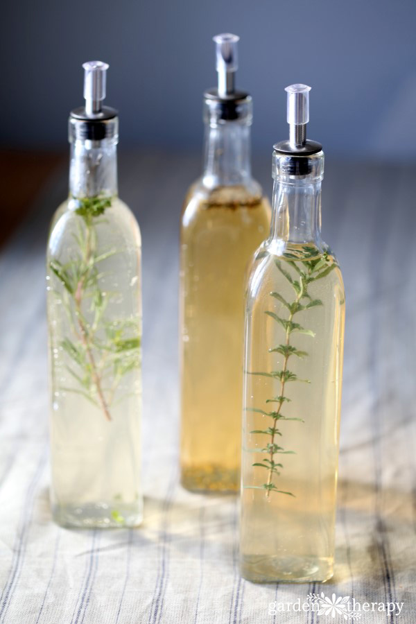 Infused Herb Vinegar Recipes