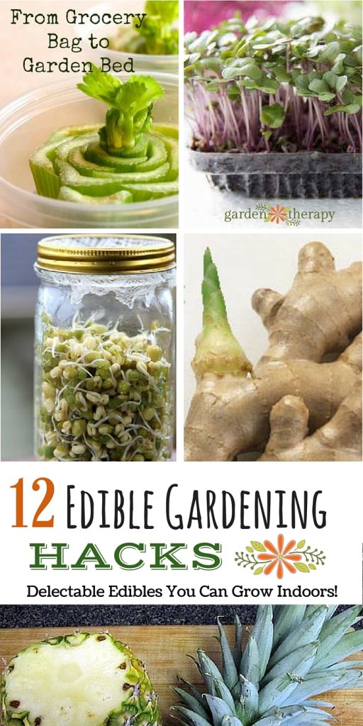 12 Edible Gardening Hacks - Creative Gardeners share how they grow food indoors in unique ways! 