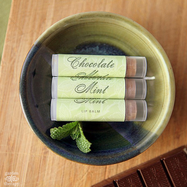 Chocolate Mint Lip Balm Recipe