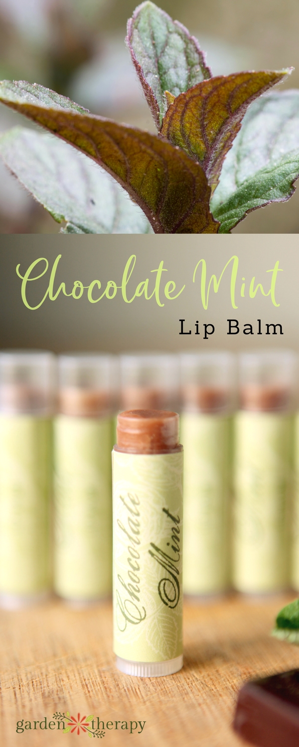 Chocolate Mint Lip Balm Recipe