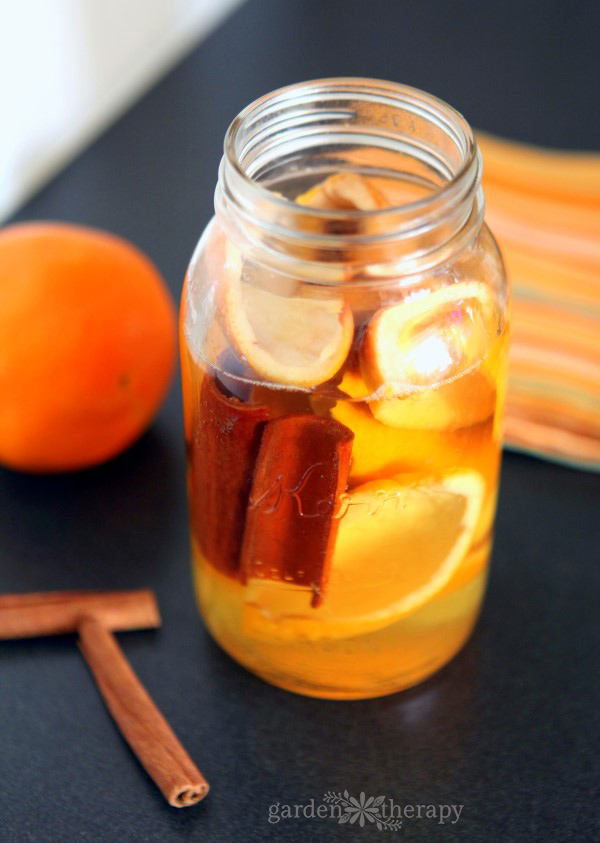 DIY cinnamon and orange all purpose cleaner recipe