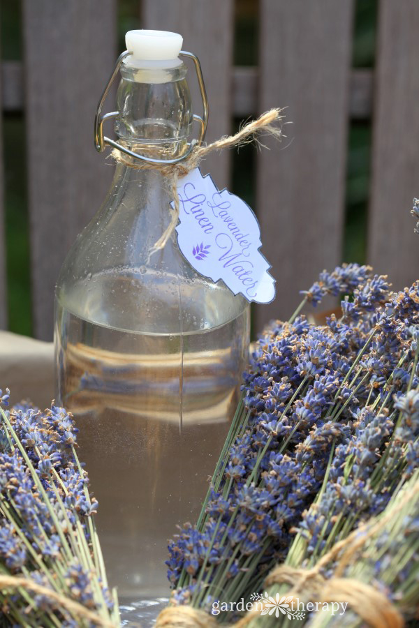 Lavender water recipe